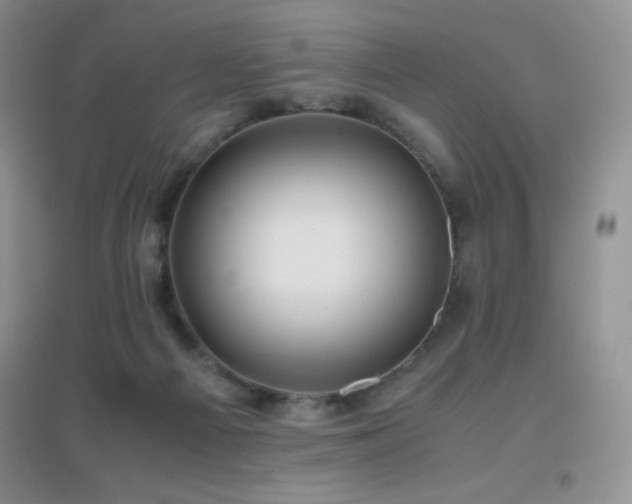 X0000097000121200802081452