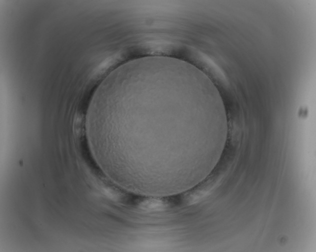 X0000097000123200802081452