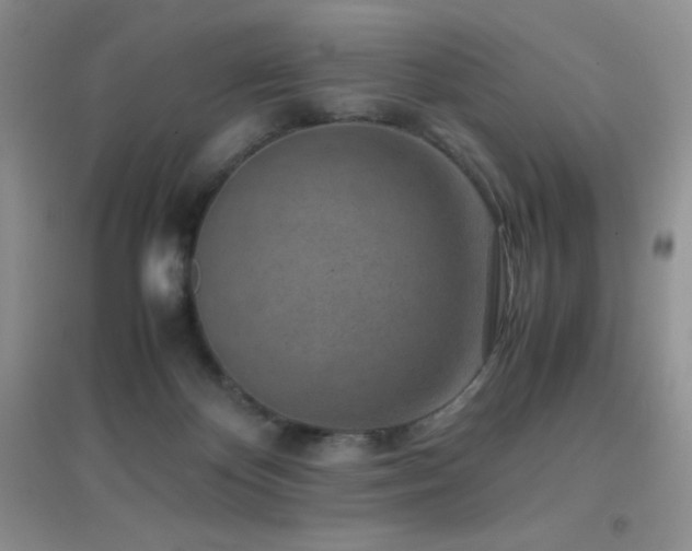 X0000097000124200802081452