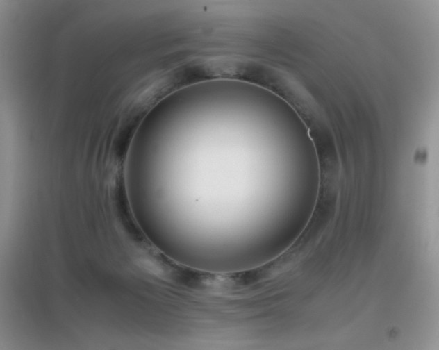 X0000097000125200802081452