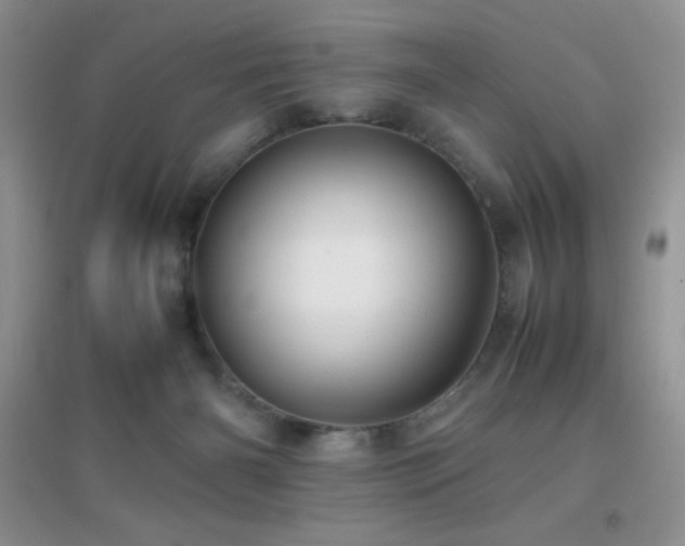 X0000097000126200802081452