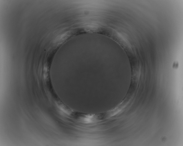X0000097000130200802081452