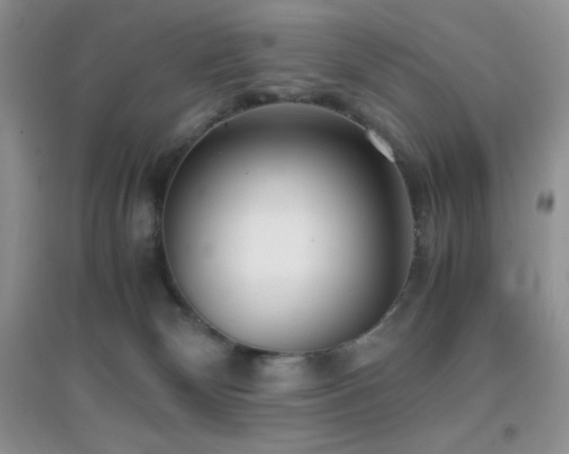X0000097000132200802081452