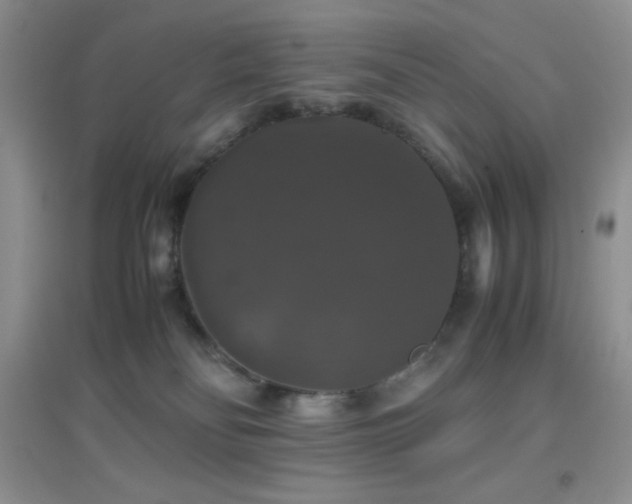 X0000097000134200802081452