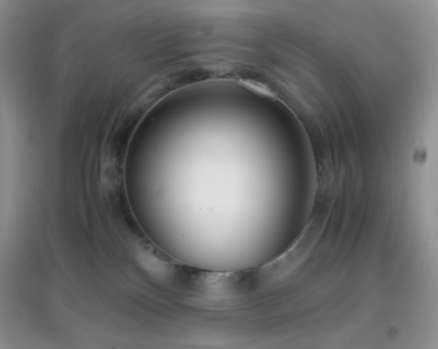 X0000097000136200802081452