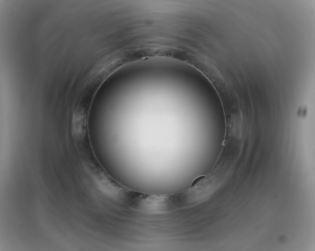 X0000097000138200802081452