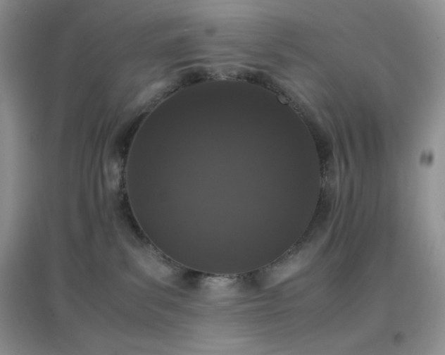 X0000097000139200802081452