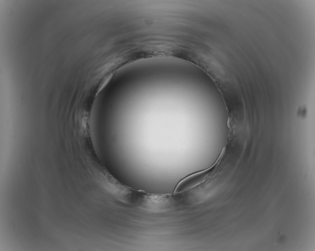 X0000097000141200802081452