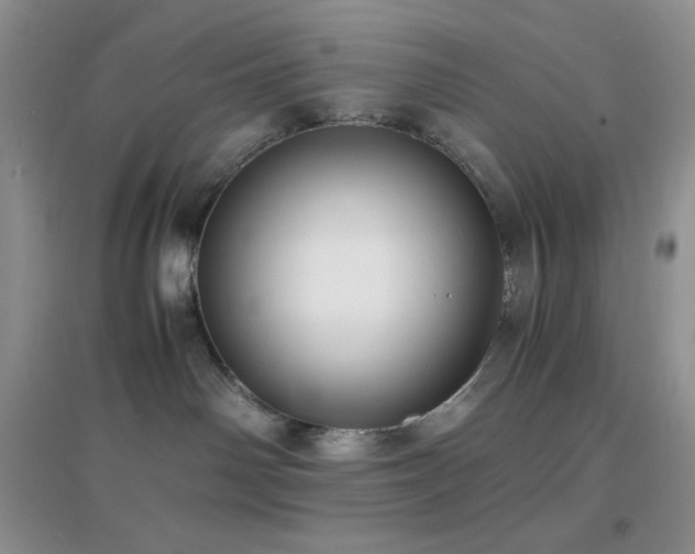 X0000097000142200802081452