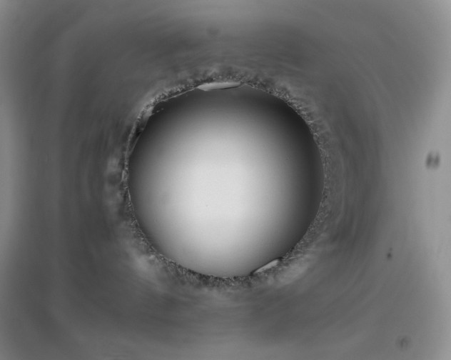 X0000097000144200802081452