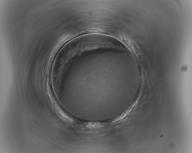 X0000097000145200802081451