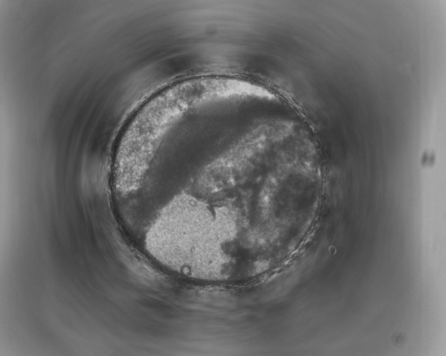 X0000097000146200802081451