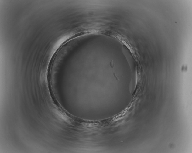 X0000097000147200802081451