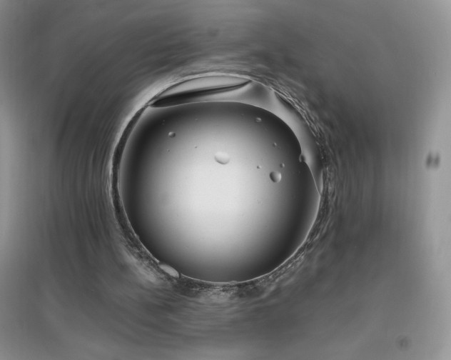 X0000097000148200802081451
