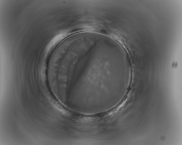 X0000097000149200802081451