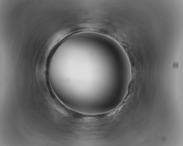 X0000097000150200802081451