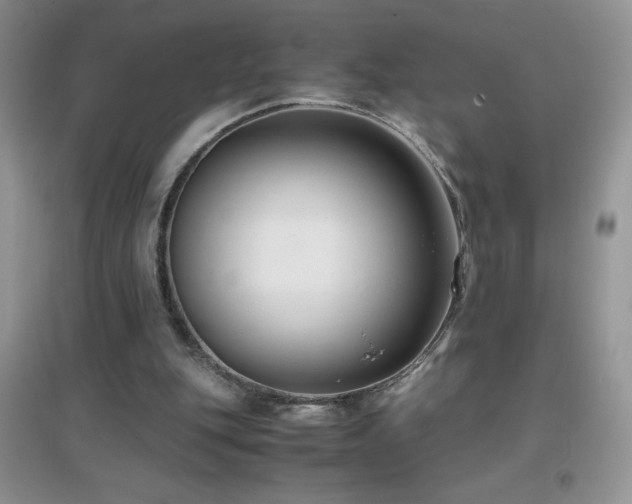 X0000097000151200802081451