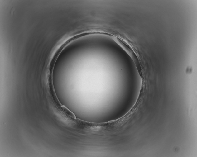 X0000097000152200802081451