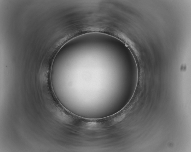 X0000097000153200802081451