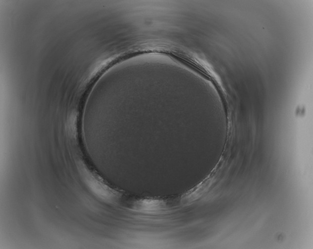 X0000097000154200802081451