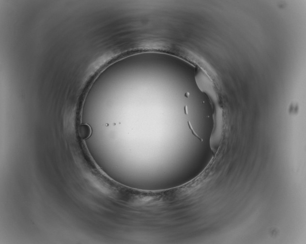 X0000097000155200802081451