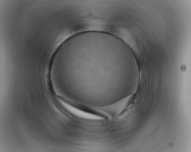 X0000097000156200802081451