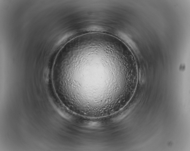 X0000097000157200802081451