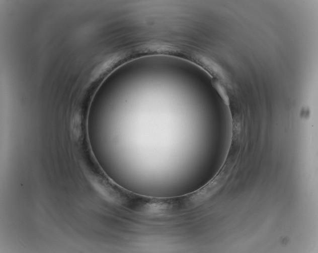 X0000097000158200802081451