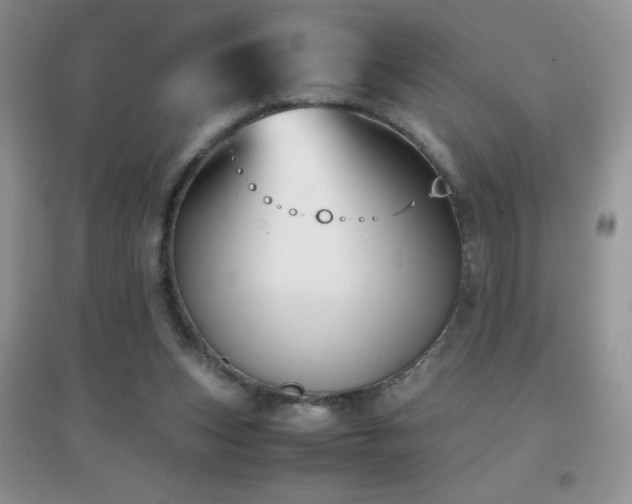 X0000097000159200802081451
