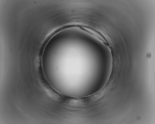 X0000097000160200802081451