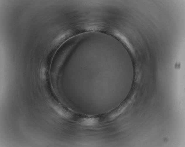 X0000097000161200802081451
