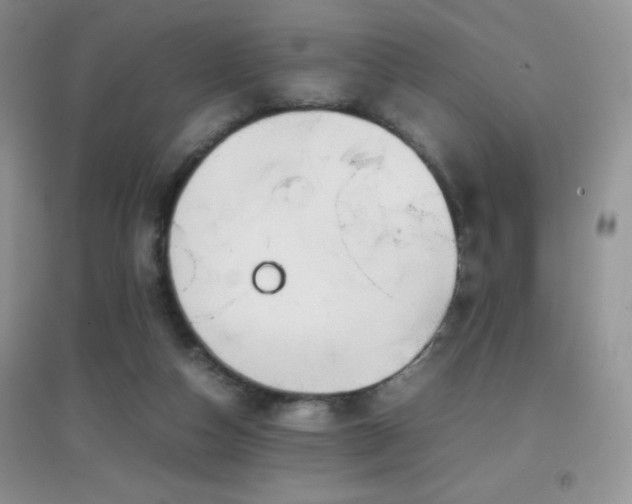 X0000097000162200802081452