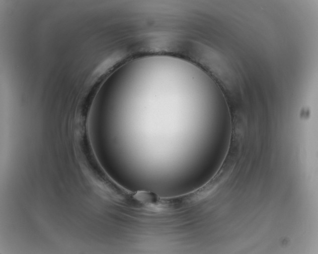 X0000097000164200802081452