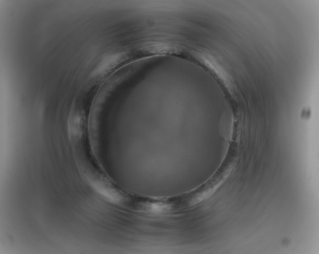 X0000097000165200802081452