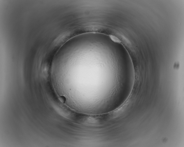 X0000097000166200802081452
