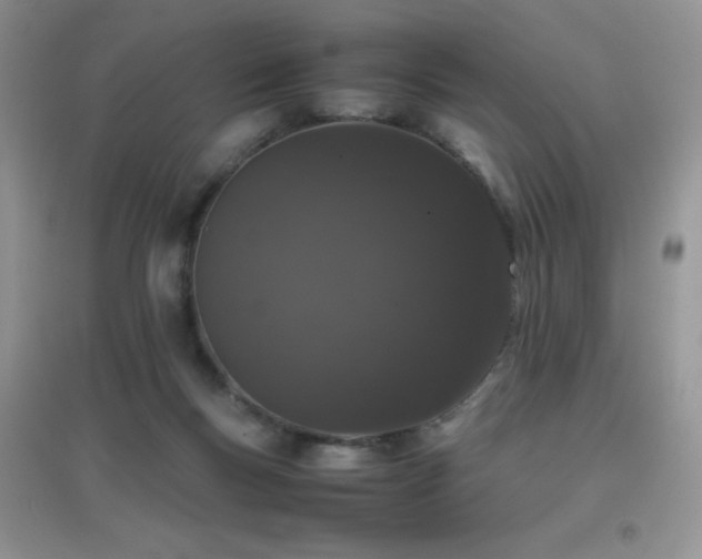 X0000097000167200802081452