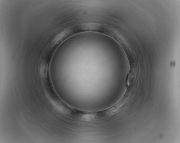 X0000097000168200802081452
