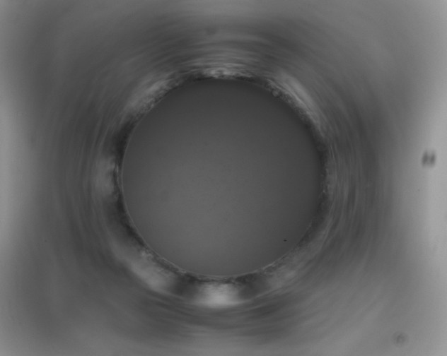 X0000097000169200802081452