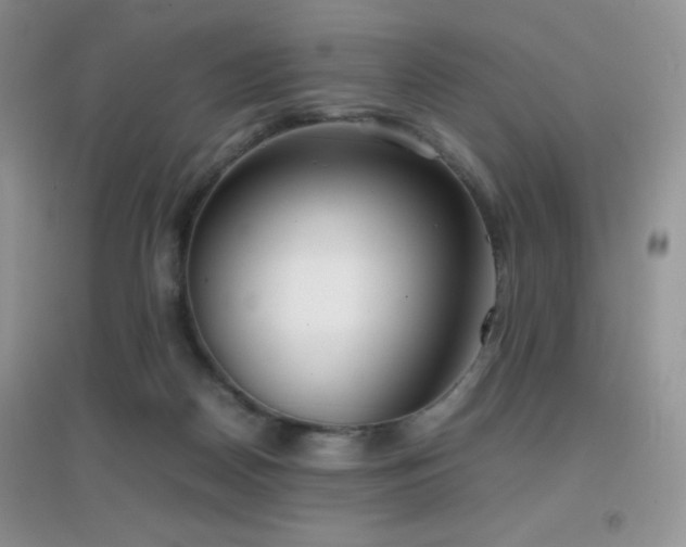X0000097000170200802081452