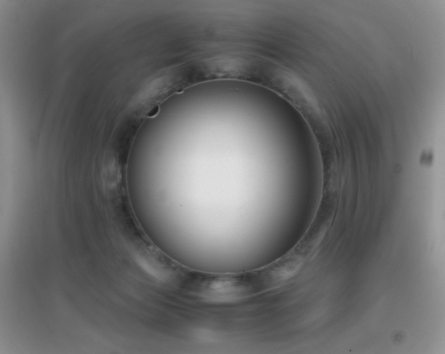 X0000097000173200802081452