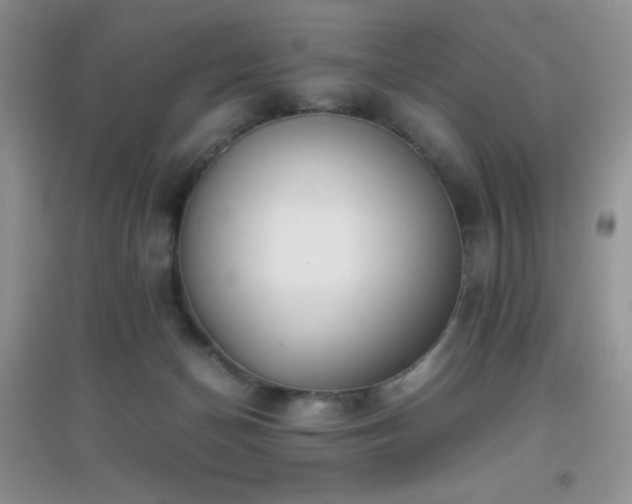 X0000097000174200802081452