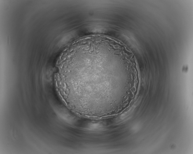 X0000097000175200802081452