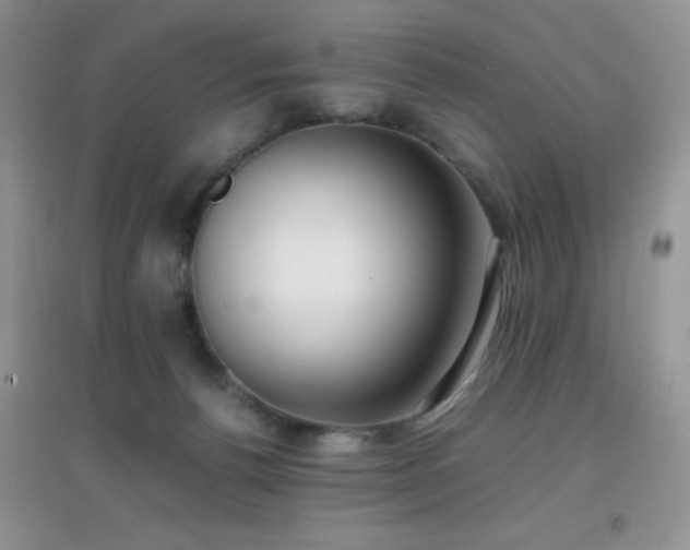 X0000097000176200802081452