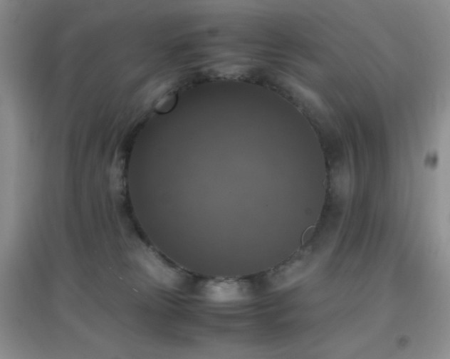 X0000097000181200802081452