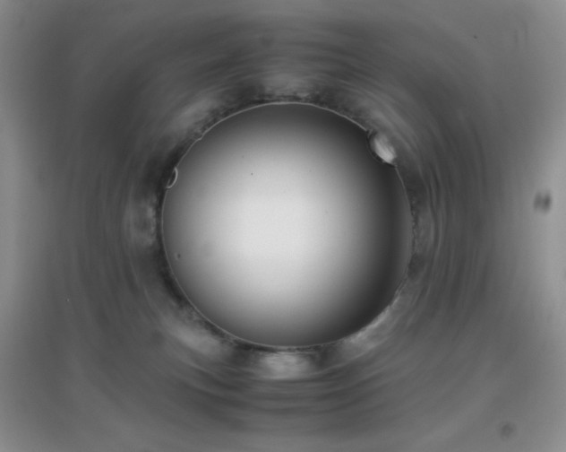 X0000097000183200802081452