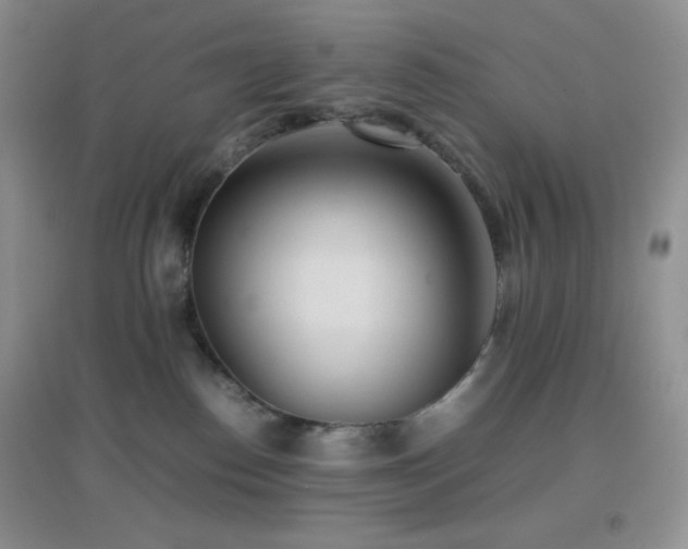 X0000097000186200802081452
