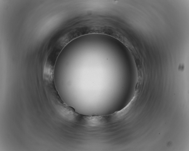 X0000097000191200802081452