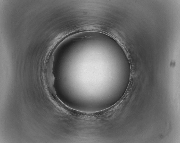 X0000097000193200802081451