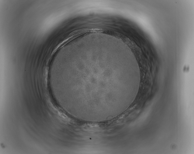 X0000097000194200802081451