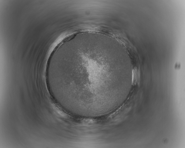 X0000097000195200802081451